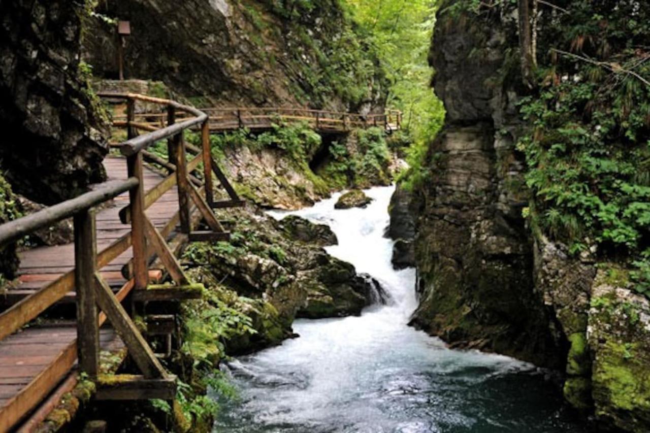 Guesthouse Schoba Typ D Kirchbach  Екстериор снимка